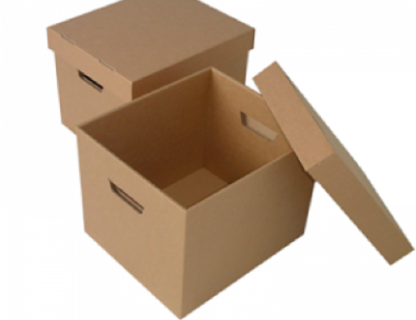 Carton with removable lid